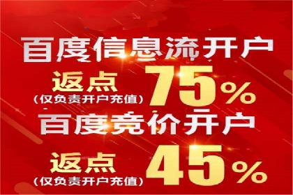 SEM托管服务，成功案例见证转化奇迹
